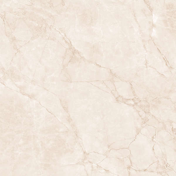Arcadia Ceramica Arctic Pearl Carving 60x60 -12