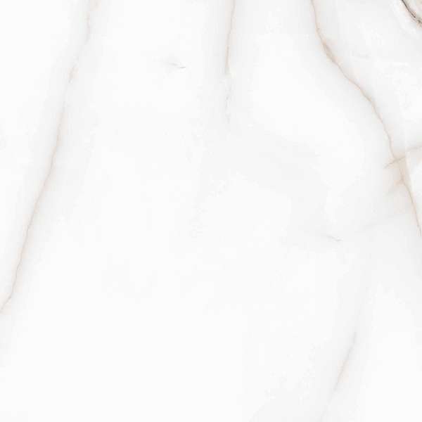 Arcadia Ceramica Feather Onyx Matt Rustic 60x60 -2