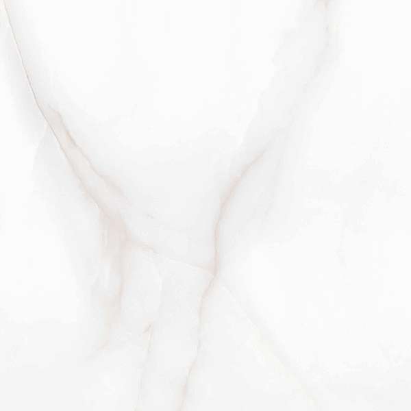 Arcadia Ceramica Feather Onyx Matt Rustic 60x60 -4