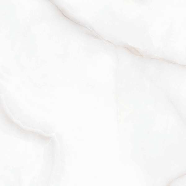 Arcadia Ceramica Feather Onyx Matt Rustic 60x60 -6