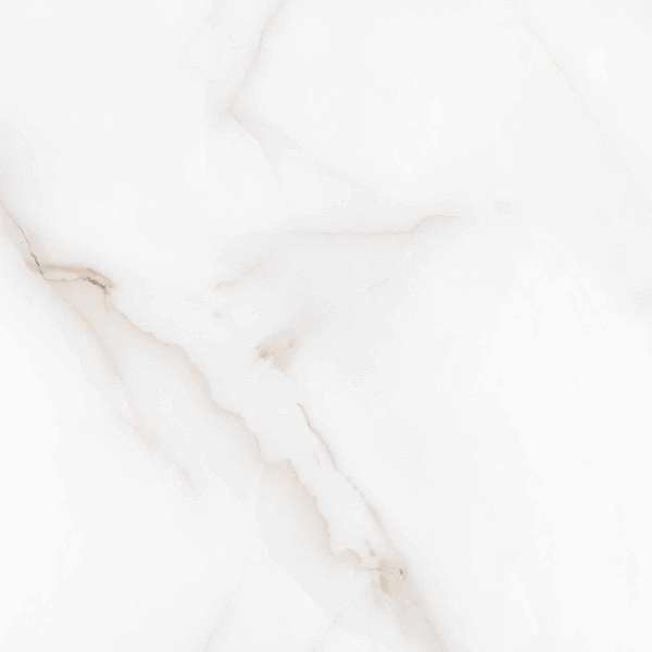 Arcadia Ceramica Feather Onyx Matt Rustic 60x60 -9