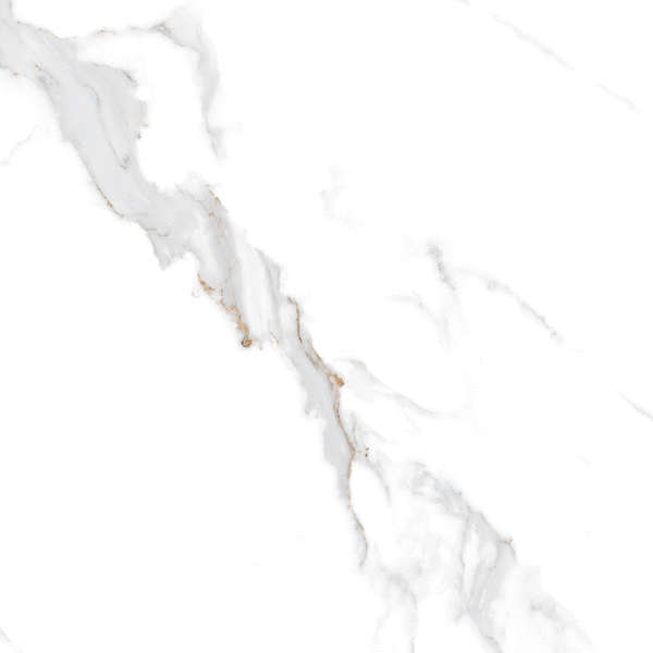 Arcadia Ceramica Statuario Seville Carving 60x60 -4