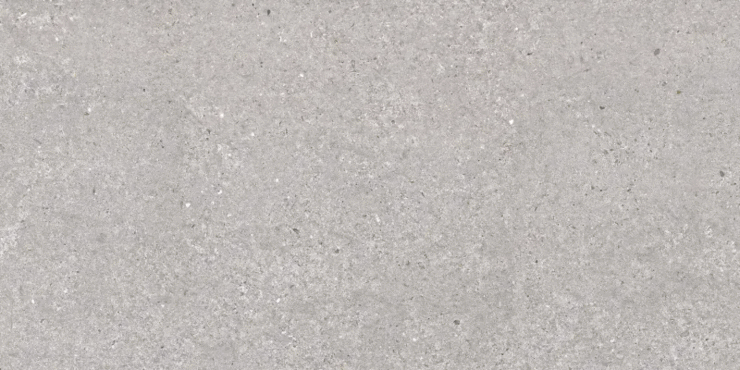 Argenta San Vicente Natural Matt 60x120