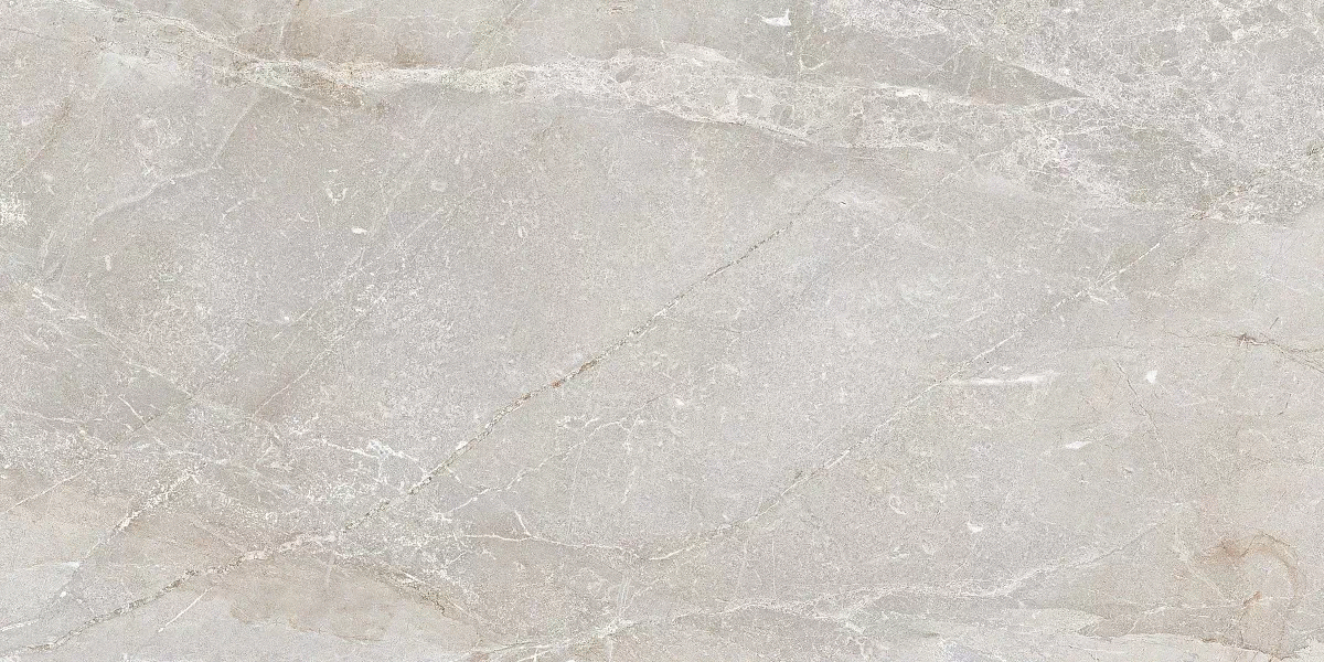 Art Ceramic Stonico Oyster Grey Glossy 60x120 -2