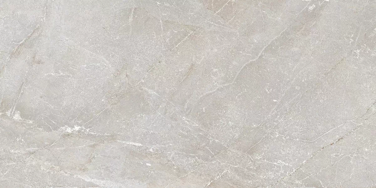 Art Ceramic Stonico Oyster Grey Glossy 60x120 -3