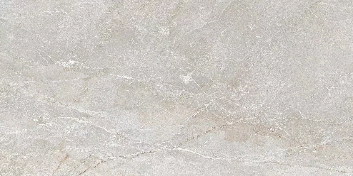 Art Ceramic Stonico Oyster Grey Glossy 60x120 -6