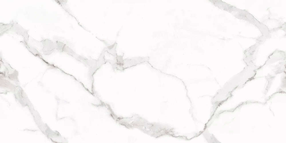Art Ceramic Venato Bianco 60x120 Glossy -2