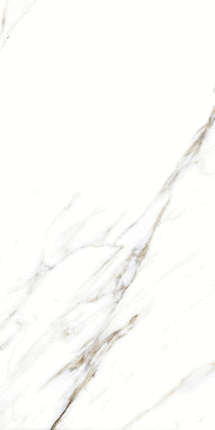 Artcer Marble Fantastic White 120x60