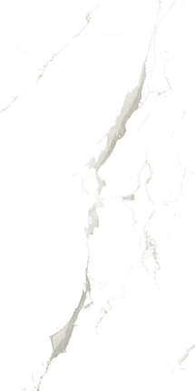 Artcer Marble Vena Fine Statuario 120x60