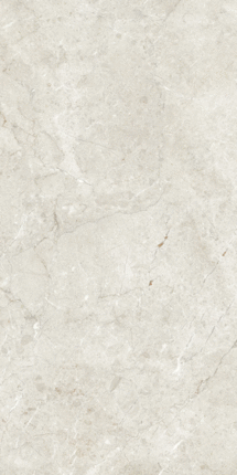 Artcer Marble Palermo Silver Matt Glr 9 mm 120x60