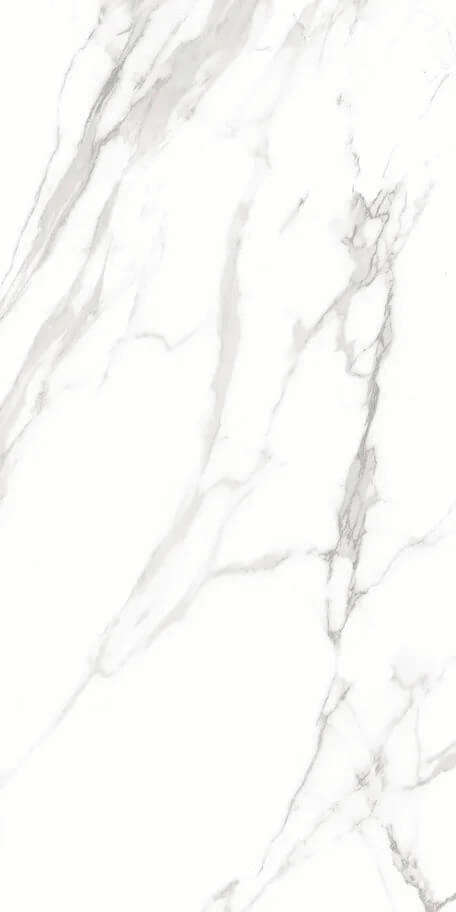 Artcer Marble Royal White 60x120 -3