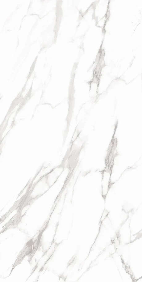 Artcer Marble Royal White 60x120 -5