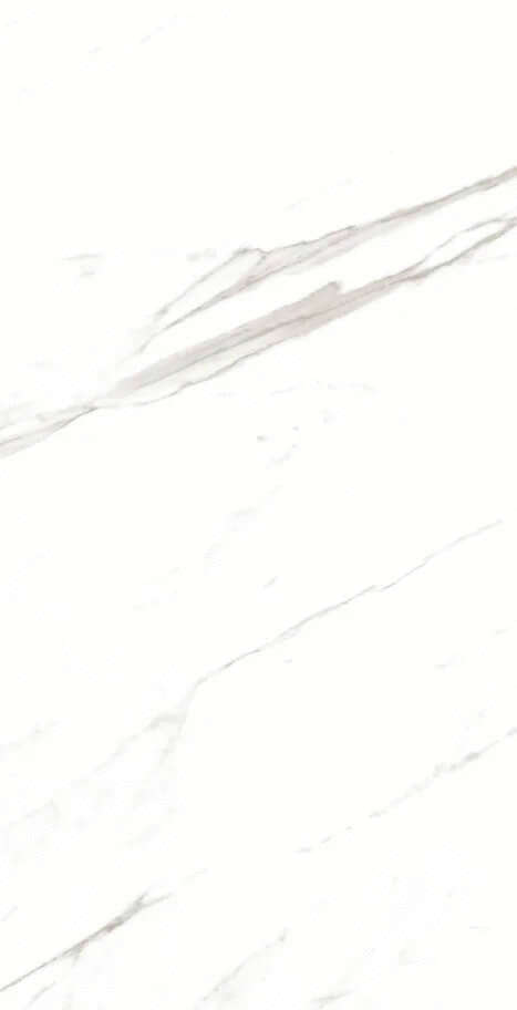 Artcer Marble Super Satvario 60x120 -4