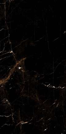 Artcer Marble Tropic Black 60x120