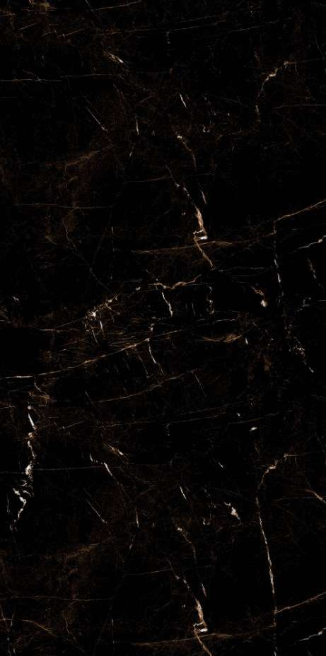 Artcer Marble Tropic Black 60x120 -3