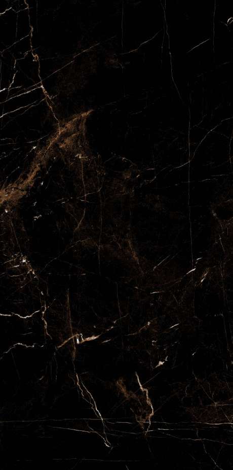 Artcer Marble Tropic Black 60x120 -4
