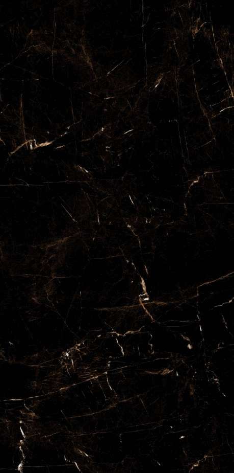 Artcer Marble Tropic Black 60x120 -5