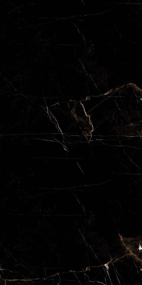 Artcer Marble Tropic Black 60x120 -6