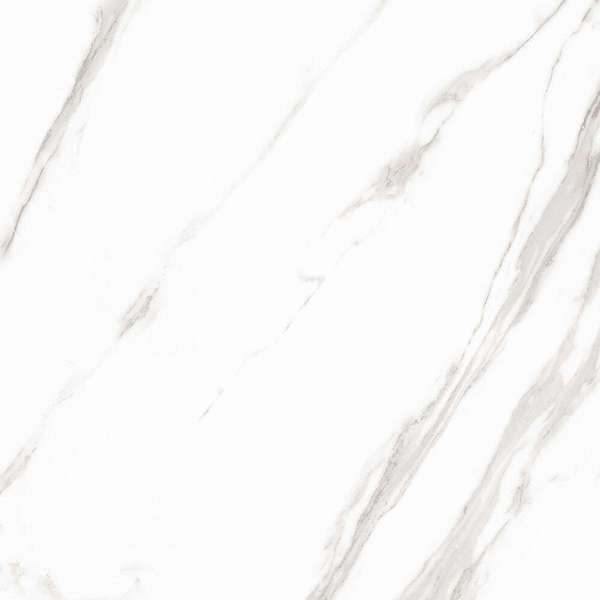 Artcer Marble Royal White Sugar 60x60 -5