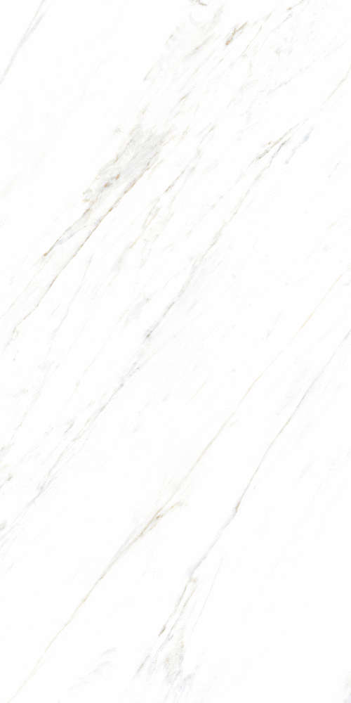 Artcer Marble Calacatta Caldia 120x60 -6