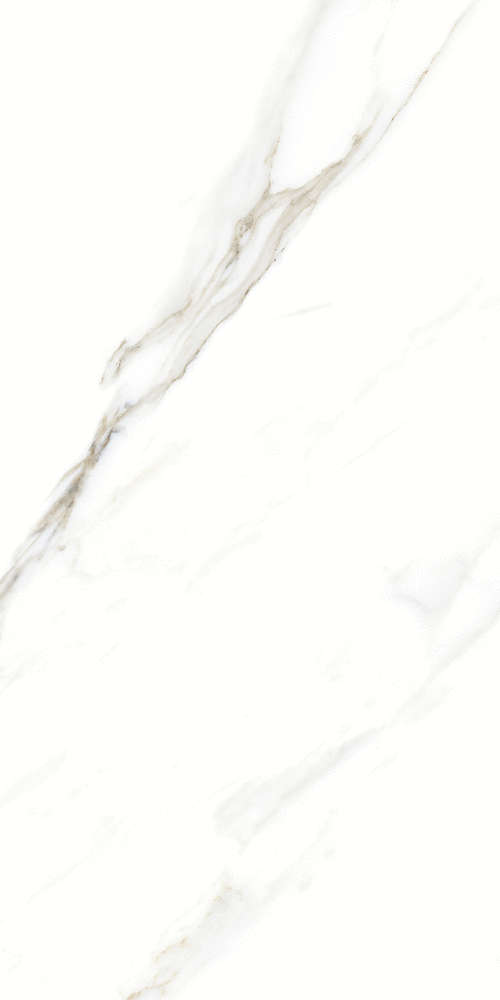 Artcer Marble Fantastic White 120x60 -2