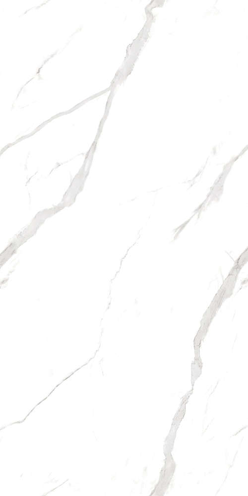 Artcer Marble Statuario Fantastico 120x60 -2