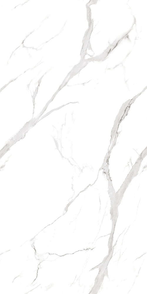 Artcer Marble Statuario Fantastico 120x60 -3