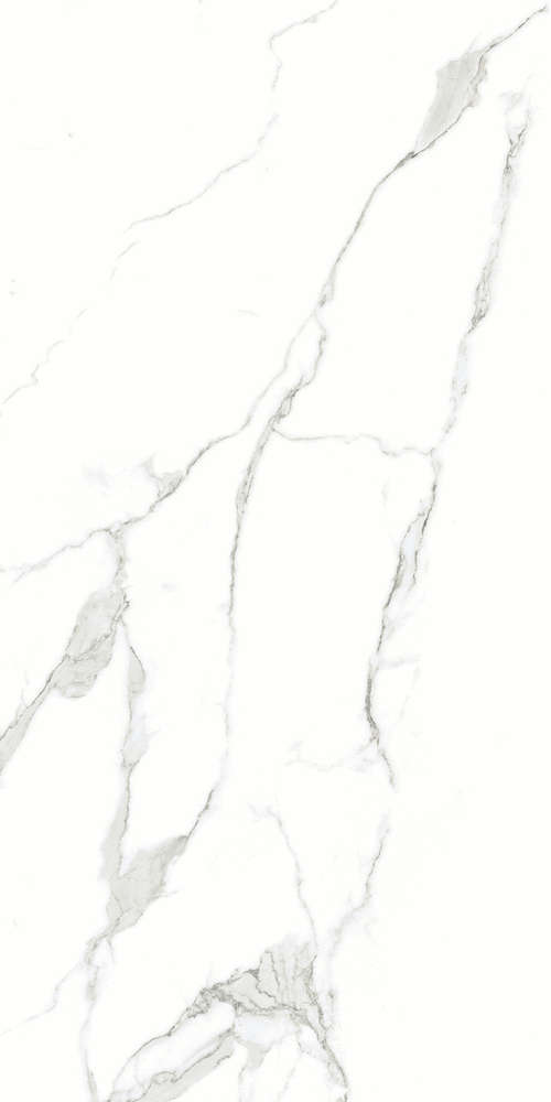 Artcer Marble Silver Shine 120x60 -5