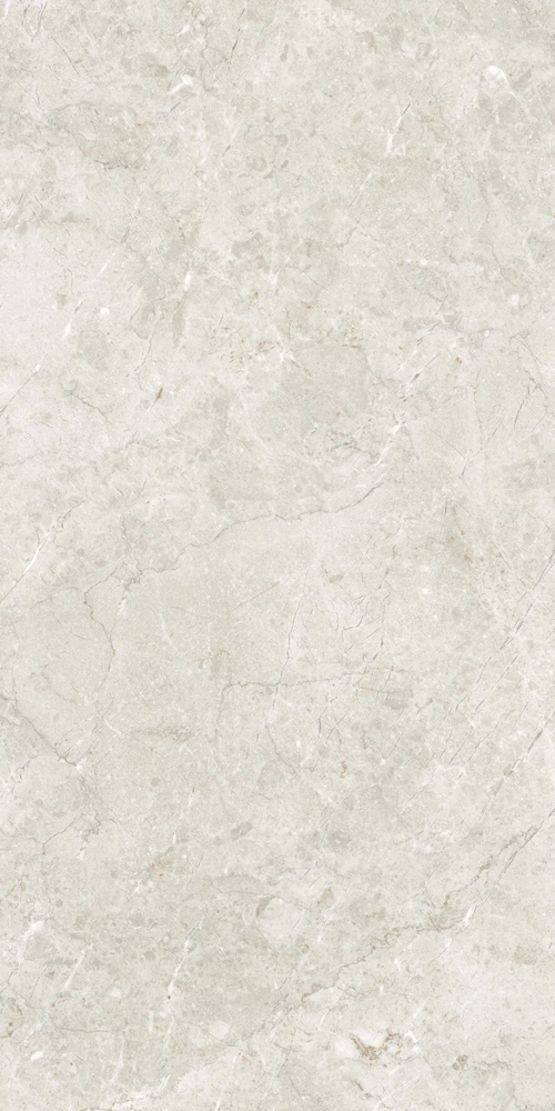 Artcer Marble Palermo Silver Matt Glr 9 mm 120x60 -2