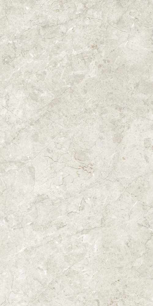 Artcer Marble Palermo Silver Matt Glr 9 mm 120x60 -3