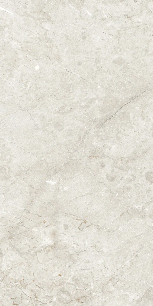 Artcer Marble Palermo Silver Matt Glr 9 mm 120x60 -4