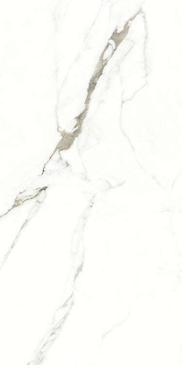 Artcer Marble Fantastic White Matt 120x60 -6