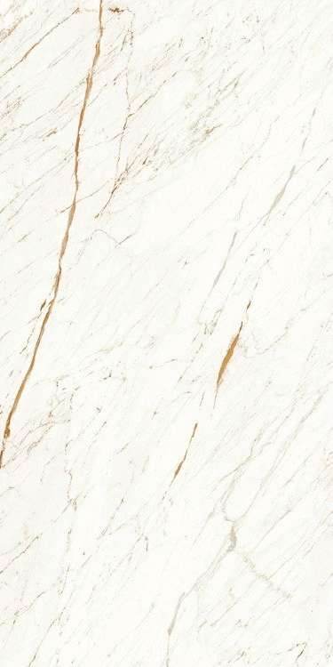 Artcer Marble Nero White Carving 120x60 -3