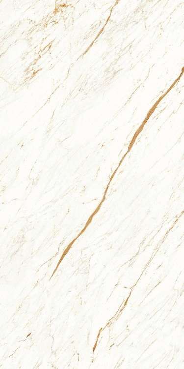 Artcer Marble Nero White Carving 120x60 -4