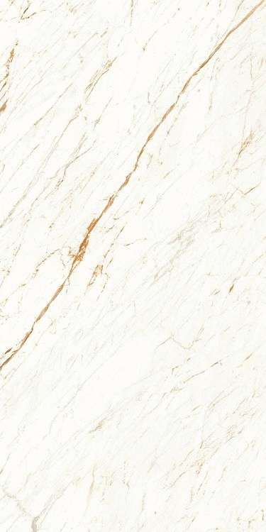 Artcer Marble Nero White Carving 120x60 -5