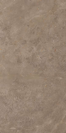 Artcer Stone Luish Brown 120x60
