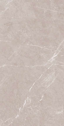 Artcer Stone Pietra Grigio Carv 120x60