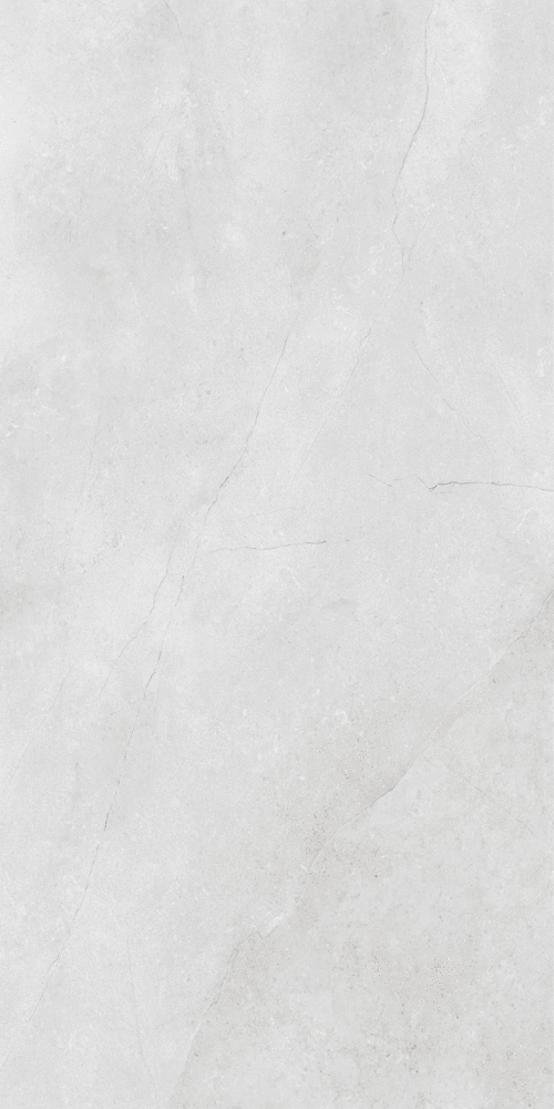 Porto White Matt 9 mm 120x60 (600x1200)