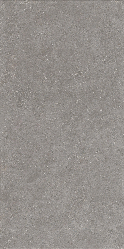 Graniti Grey Matt 9 mm GHR 120x60 (600x1200)