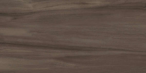 Artkera Group Goa Marron 30x60 -12