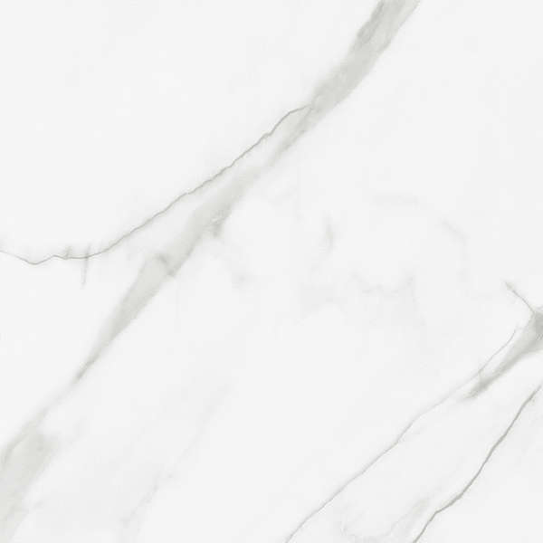 Artkera Group Pure Marble  60x60 -5
