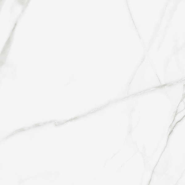 Artkera Group Pure Marble  60x60 -6