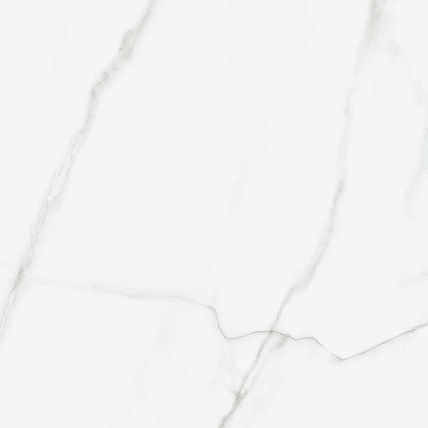 Artkera Group Pure Marble  60x60 -9