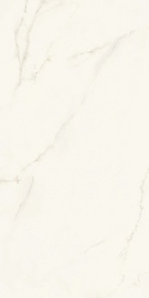 Atlas Concorde () Atlas Plan Calacatta Apuano Silk ST 12 mm 162x324