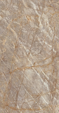 Atlas Concorde () Atlas Plan Natural Roots Bookmatch Polished ST 12mm 162x324