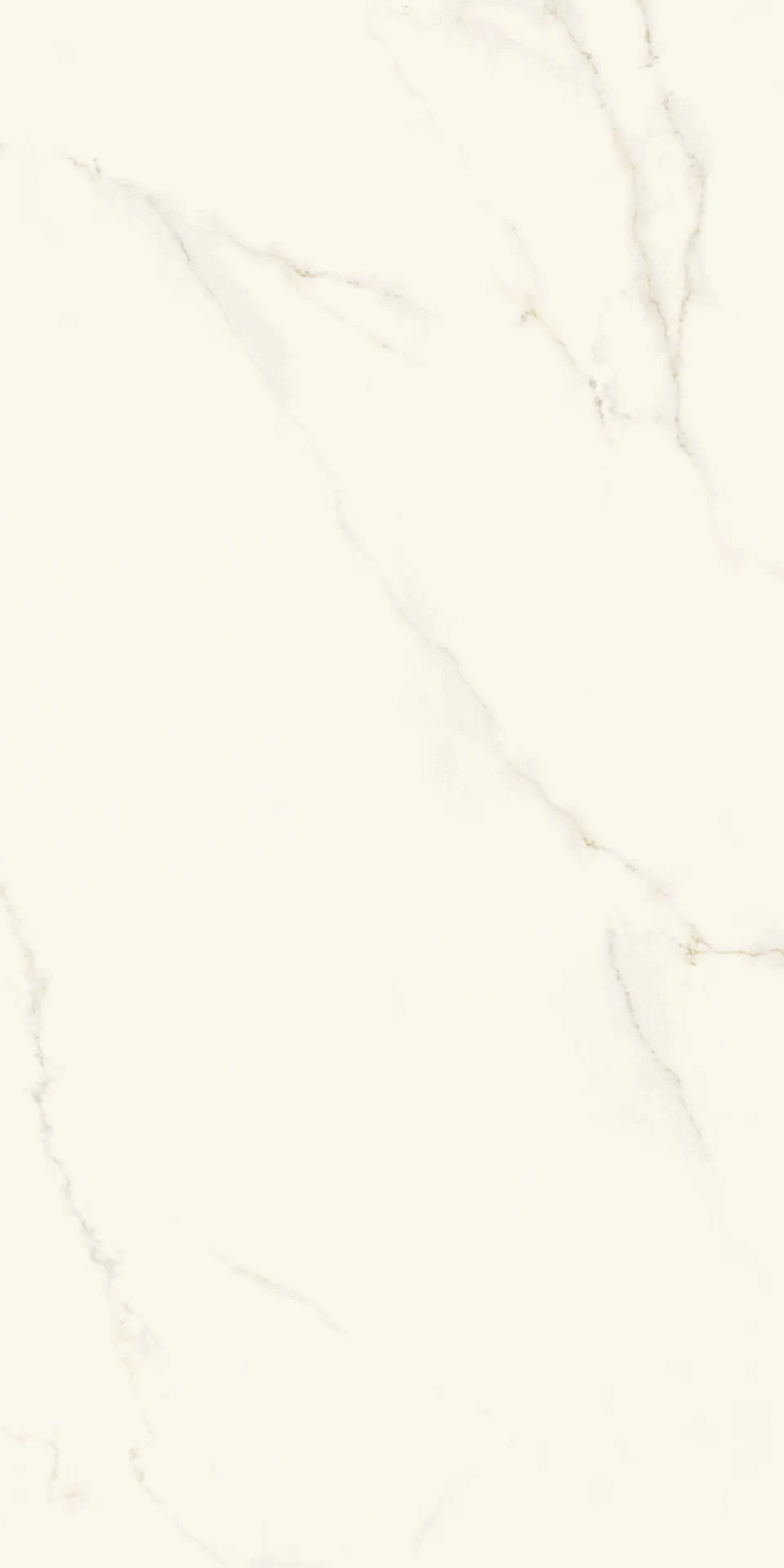 Atlas Concorde () Atlas Plan Calacatta Apuano Silk ST 12 mm 162x324 -2