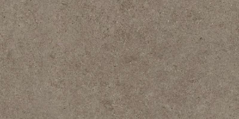 Taupe 60x120 (1200x600)