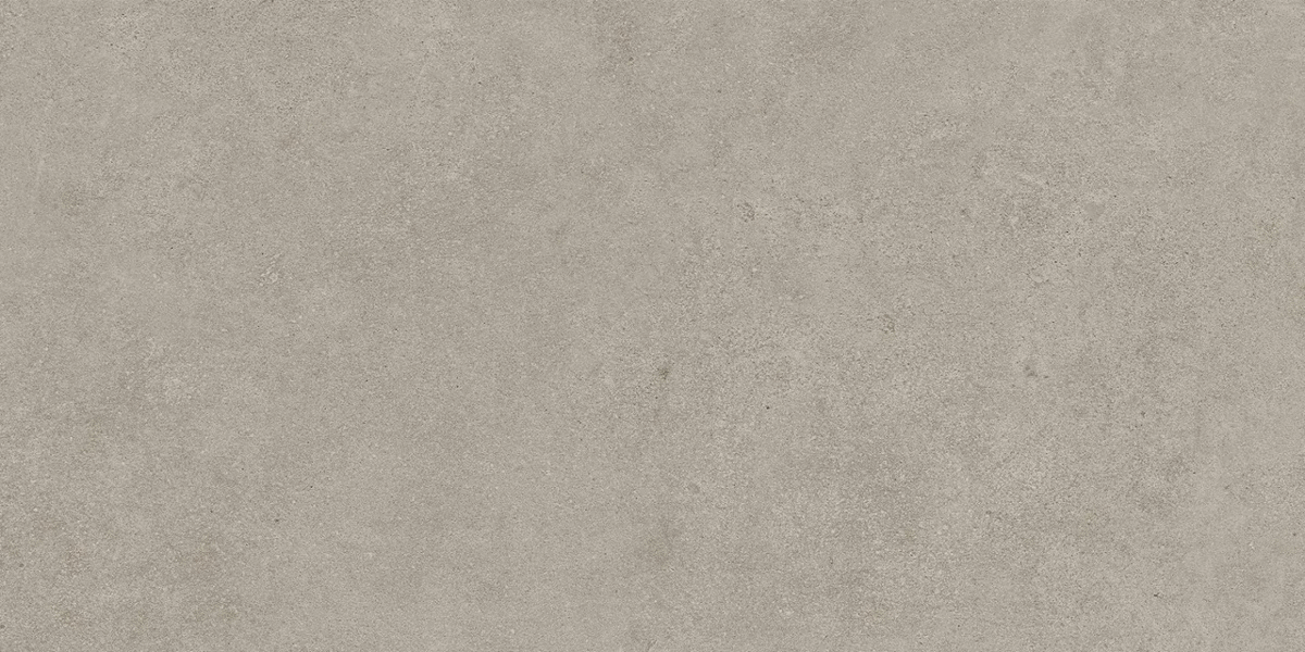 Grey Matt 60x120 (1200x600)