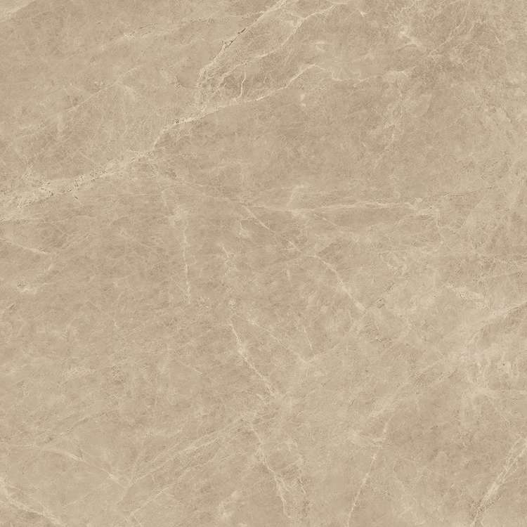 Elegant Sable Lap. 75 (750x750)