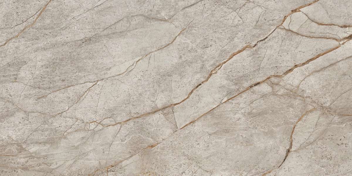 Silver Root 60x120 (1200x600)